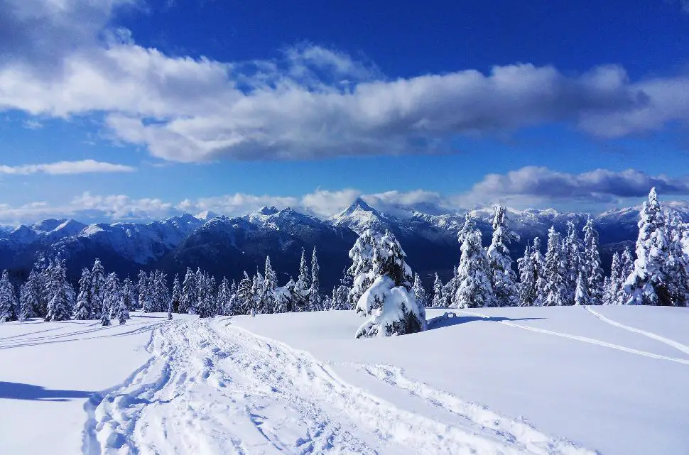 Manning Park Backcountry Photo