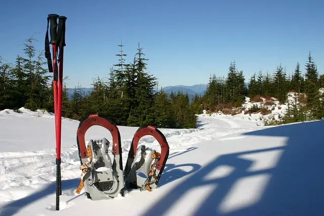 Example of reasonable snowshoes and poles for a winter adventure 