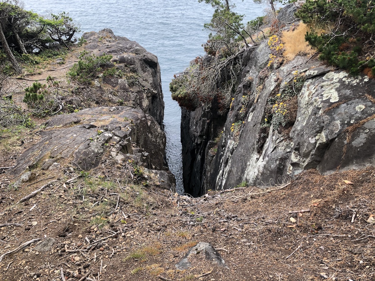 Coast Trail, East Sooke Provincial Park 