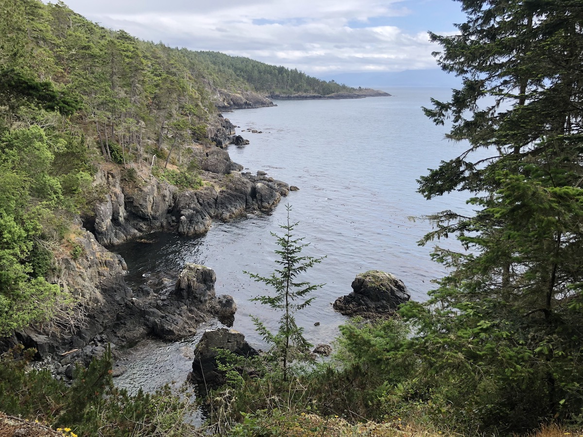 Coast Trail, East Sooke Provincial Park 