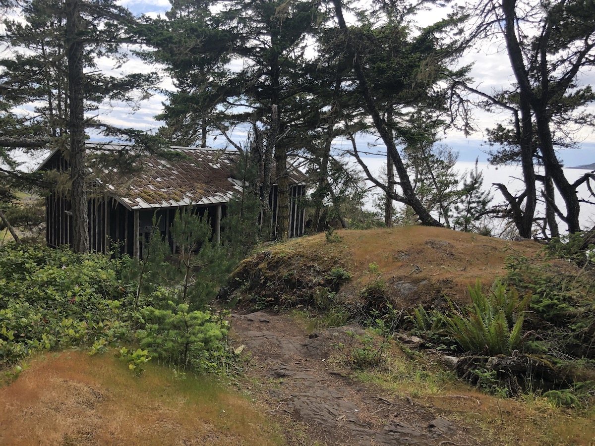 Coast Trail, East Sooke Provincial Park 