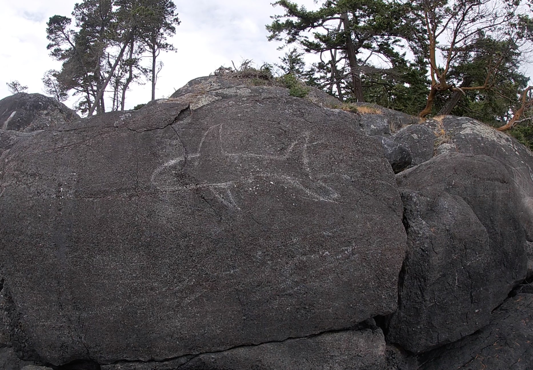 Petroglyphs, Coast Trail, East Sooke Provincial Park 