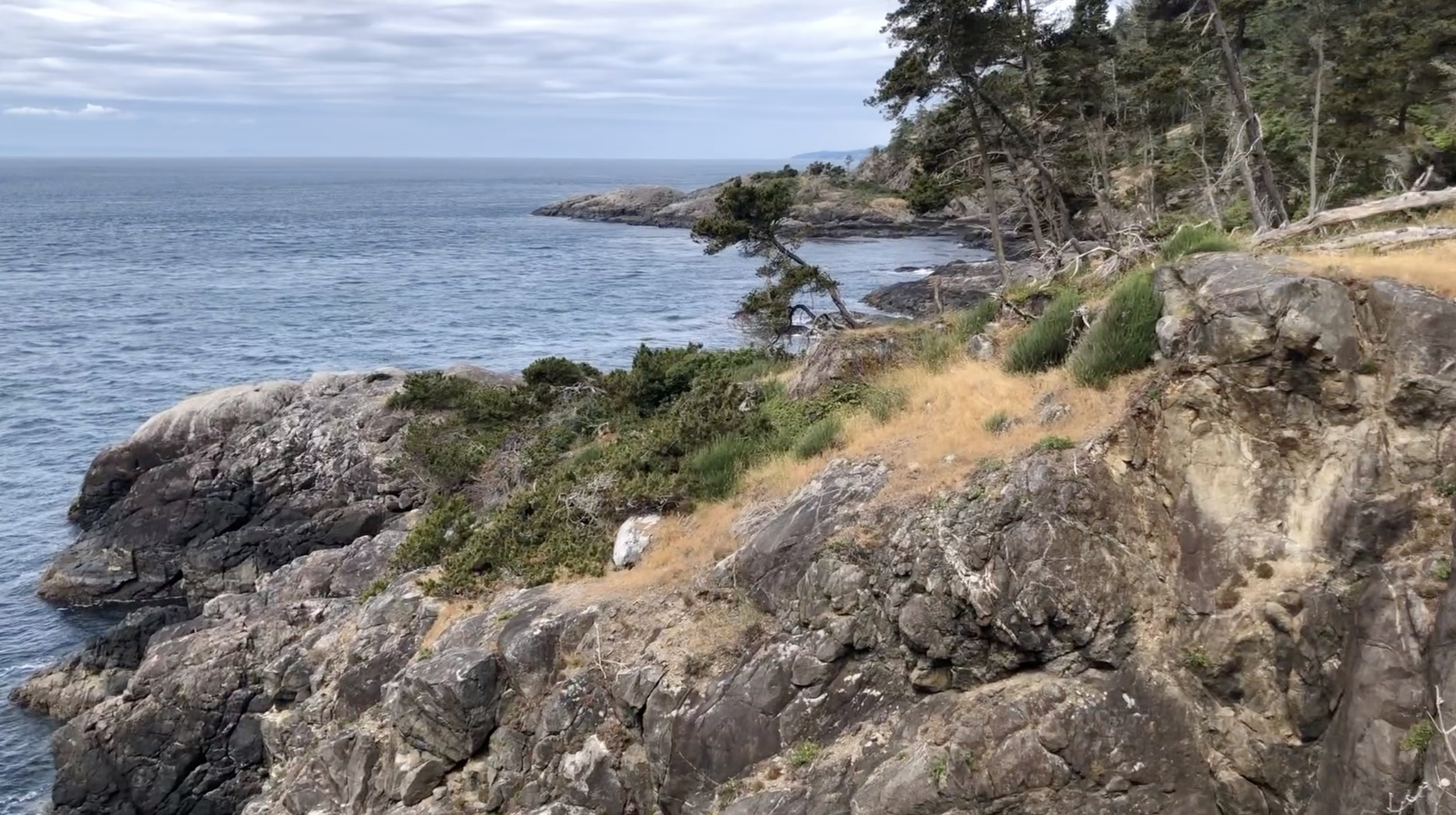 Coast Trail, East Sooke Provincial Park 