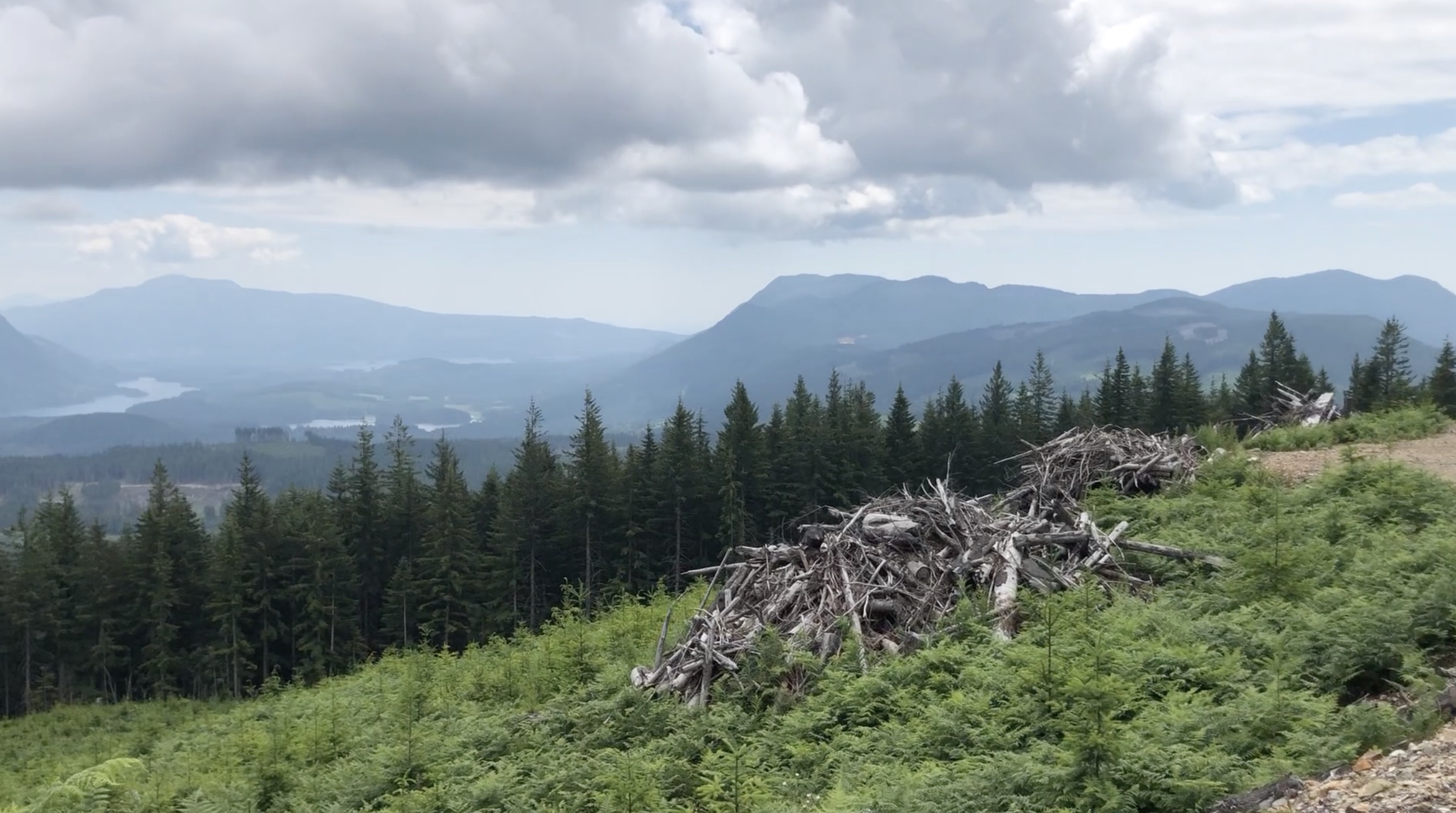 Tin Hat Hut Hike, Sunshine Coast Trail, Powell River BC