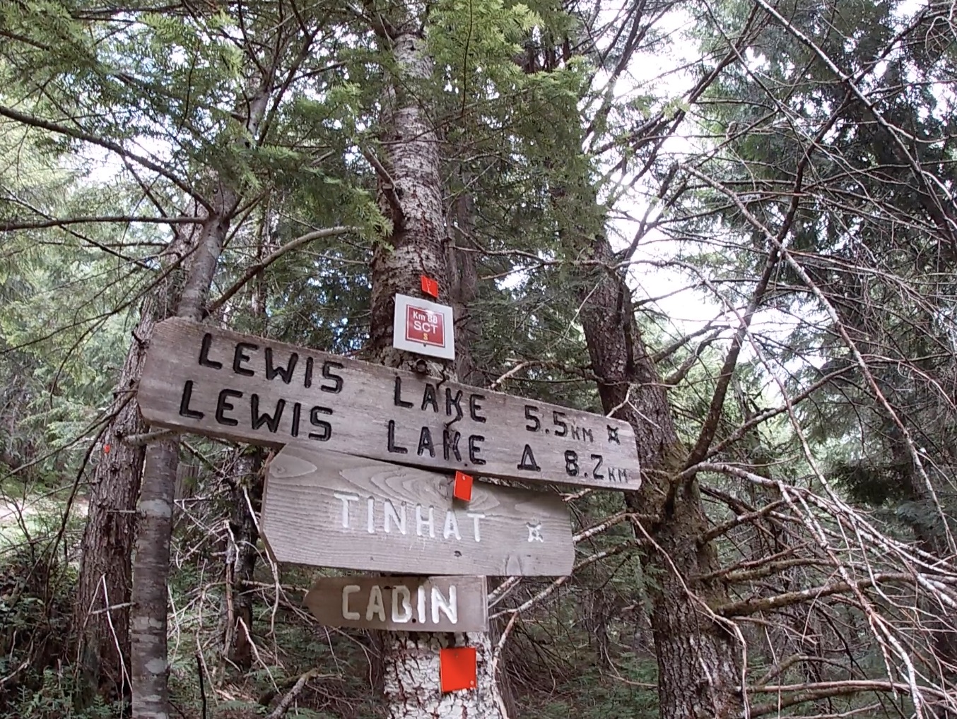 Tin Hat Hut Hike, Sunshine Coast Trail, Powell River BC