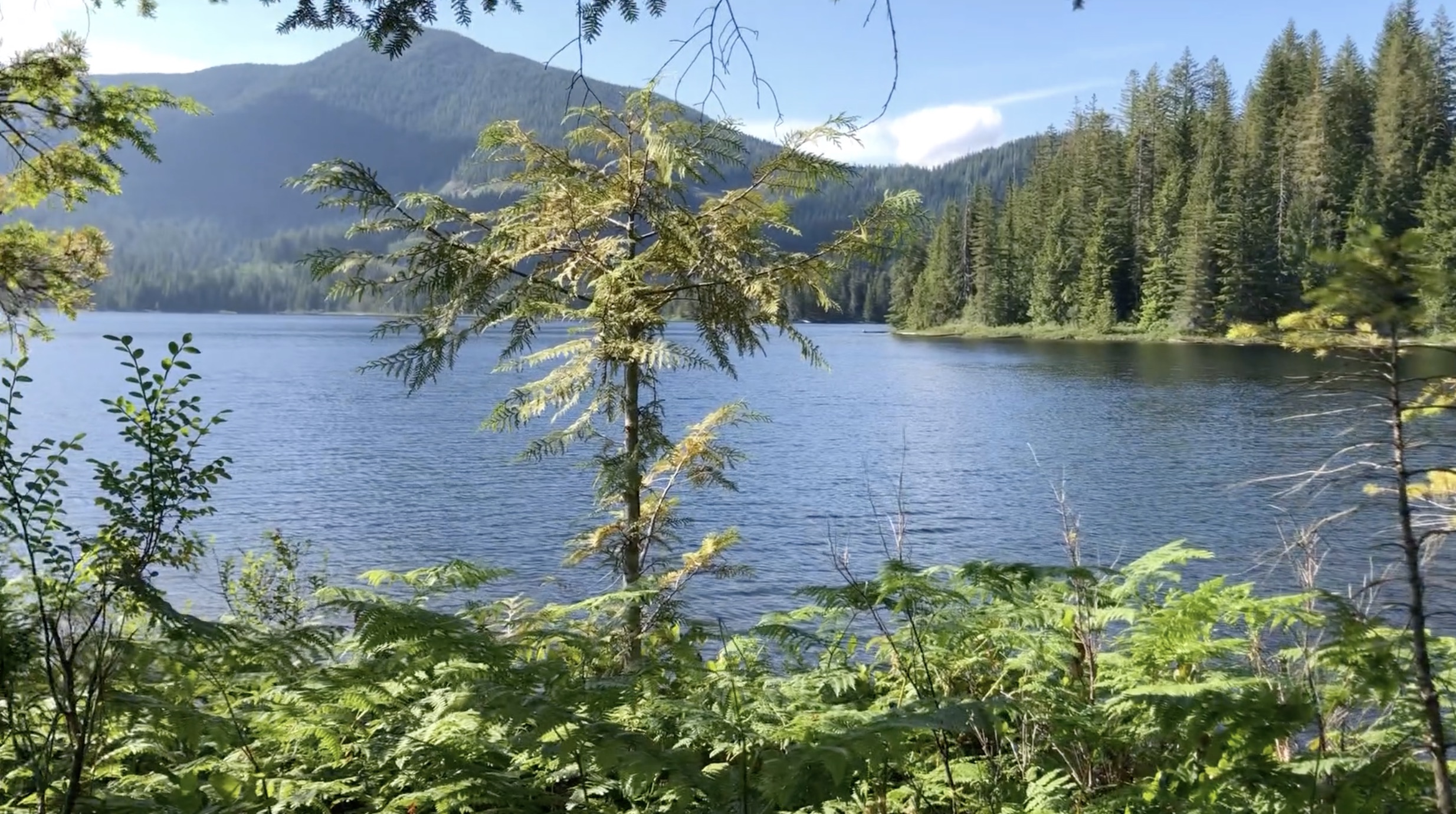 Tin Hat Hut Hike, Sunshine Coast Trail, Powell River BC