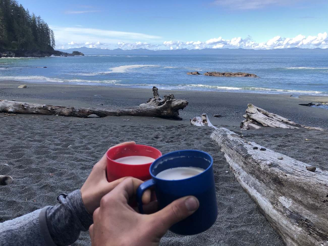 Juan De Fuca Marine Trail, Vancouver Island Hiking, Hike Juan De Fuca, Juan De Fuca Trail, Botanical Beach, Sombrio Beach, Chin Beach, Bear Beach, China Beach 