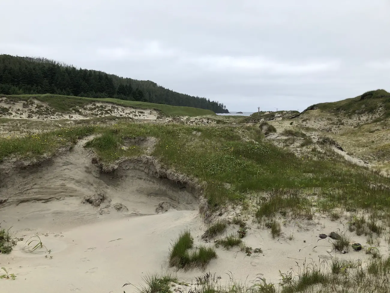 Sand Dunes, Guise Bay, Cape Scott Provincial Park, Cape Scott Overnight Hike