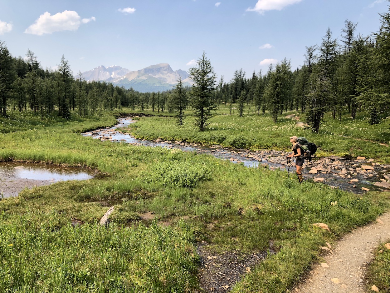 Looking at Wonder Mountain in Mount Assiniboine Provincial Park, Backpacking, Overnight Hiking, Mount Assiniboine Park, Cautley, 