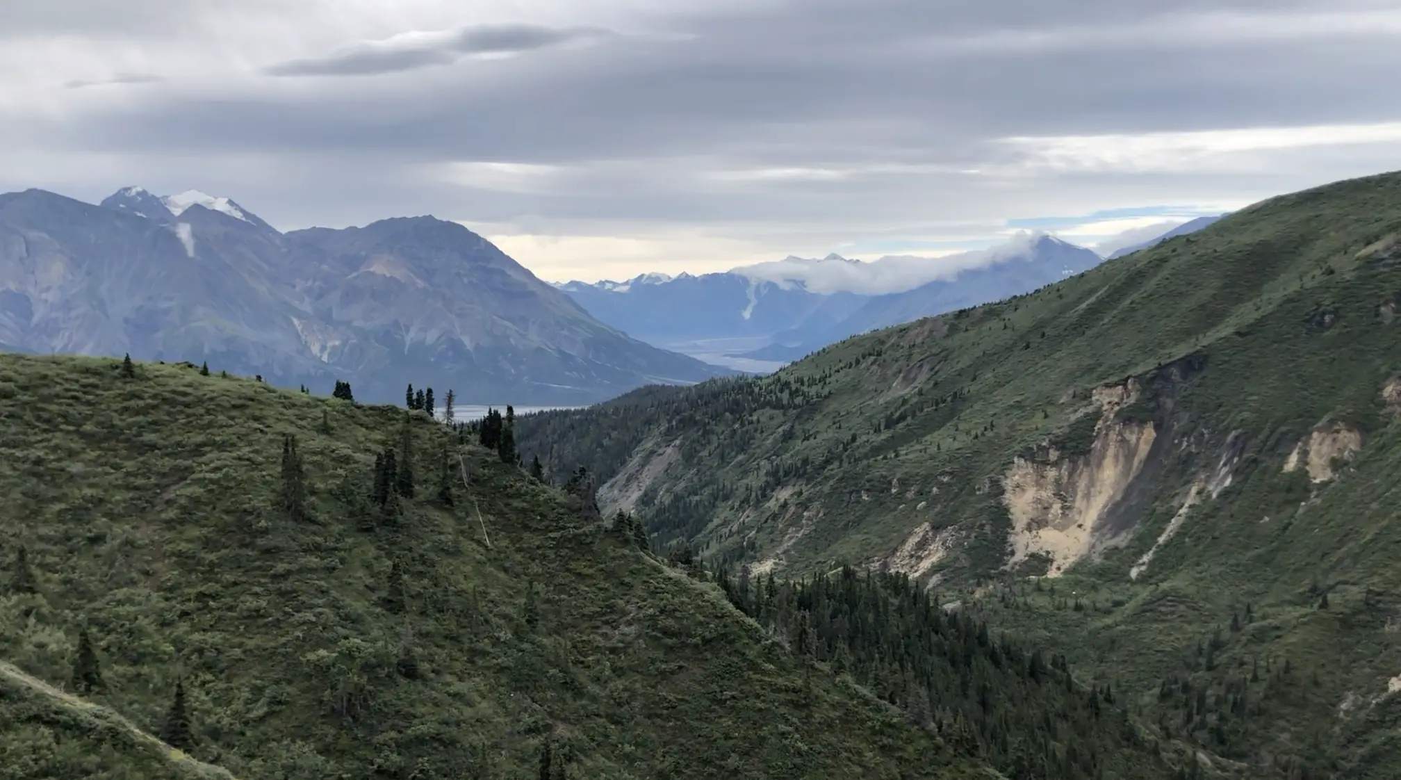 Sheep Creek, Ridge, Summit, Thachal Dhal, Yukon Hike