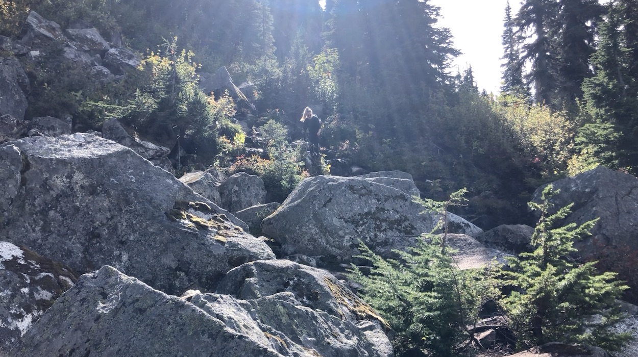 Rohr Lake Hike, Rohr Mountain Hike, Hiking in Duffey Lake Park, D'Arcy BC