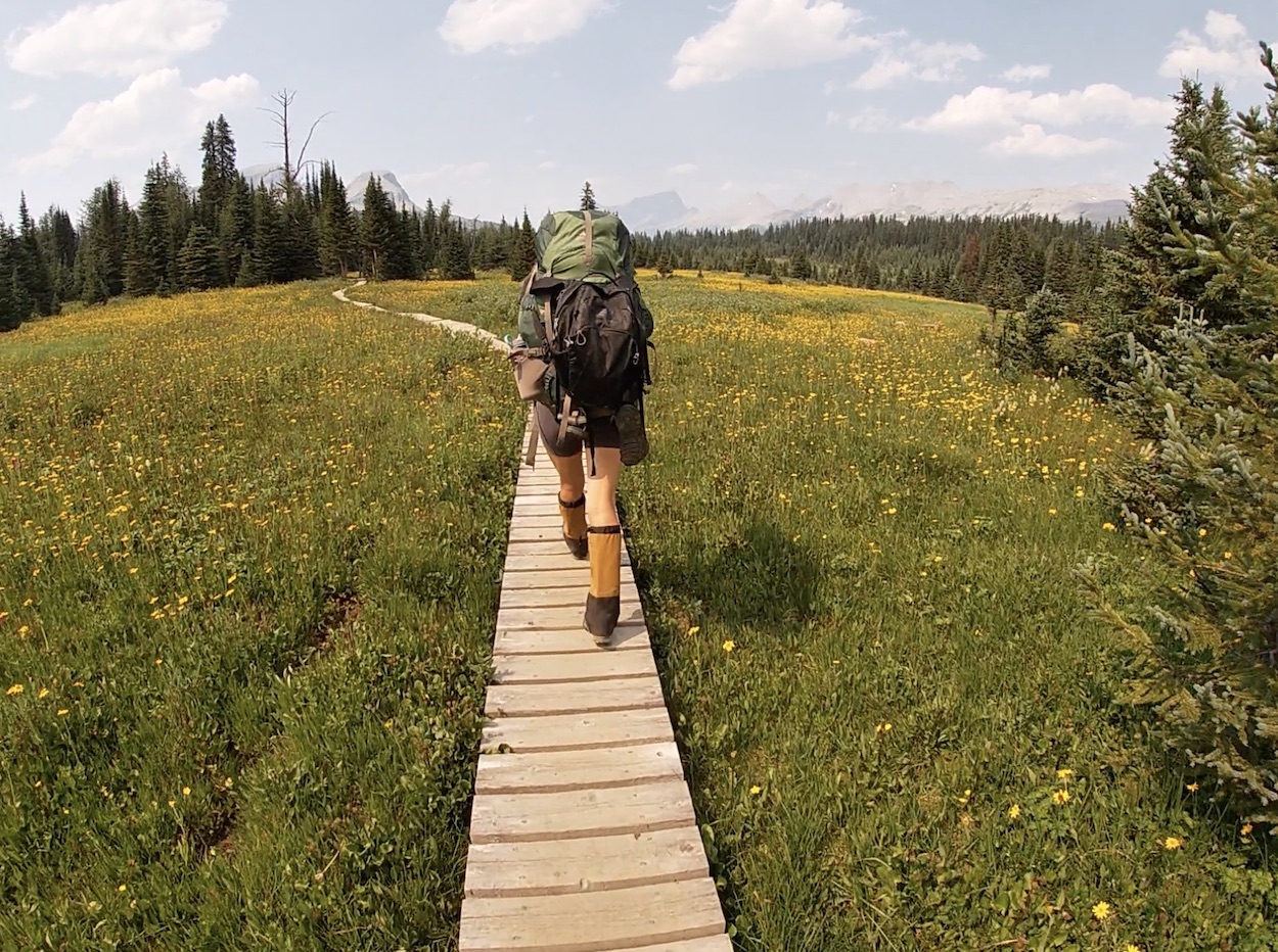 Mt Assiniboine Trail Meadows 