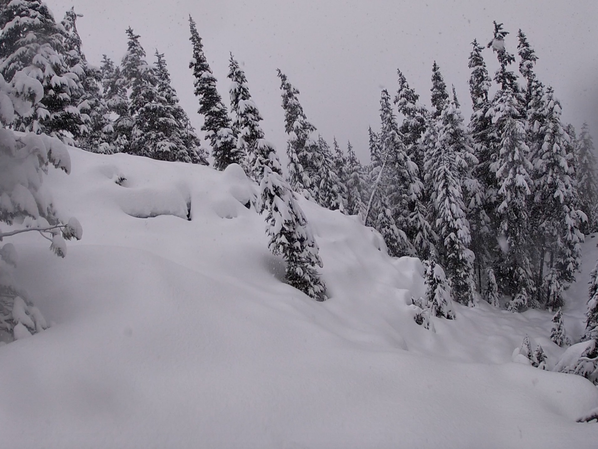 Whistler Opening Day Skiing Pictures 2021