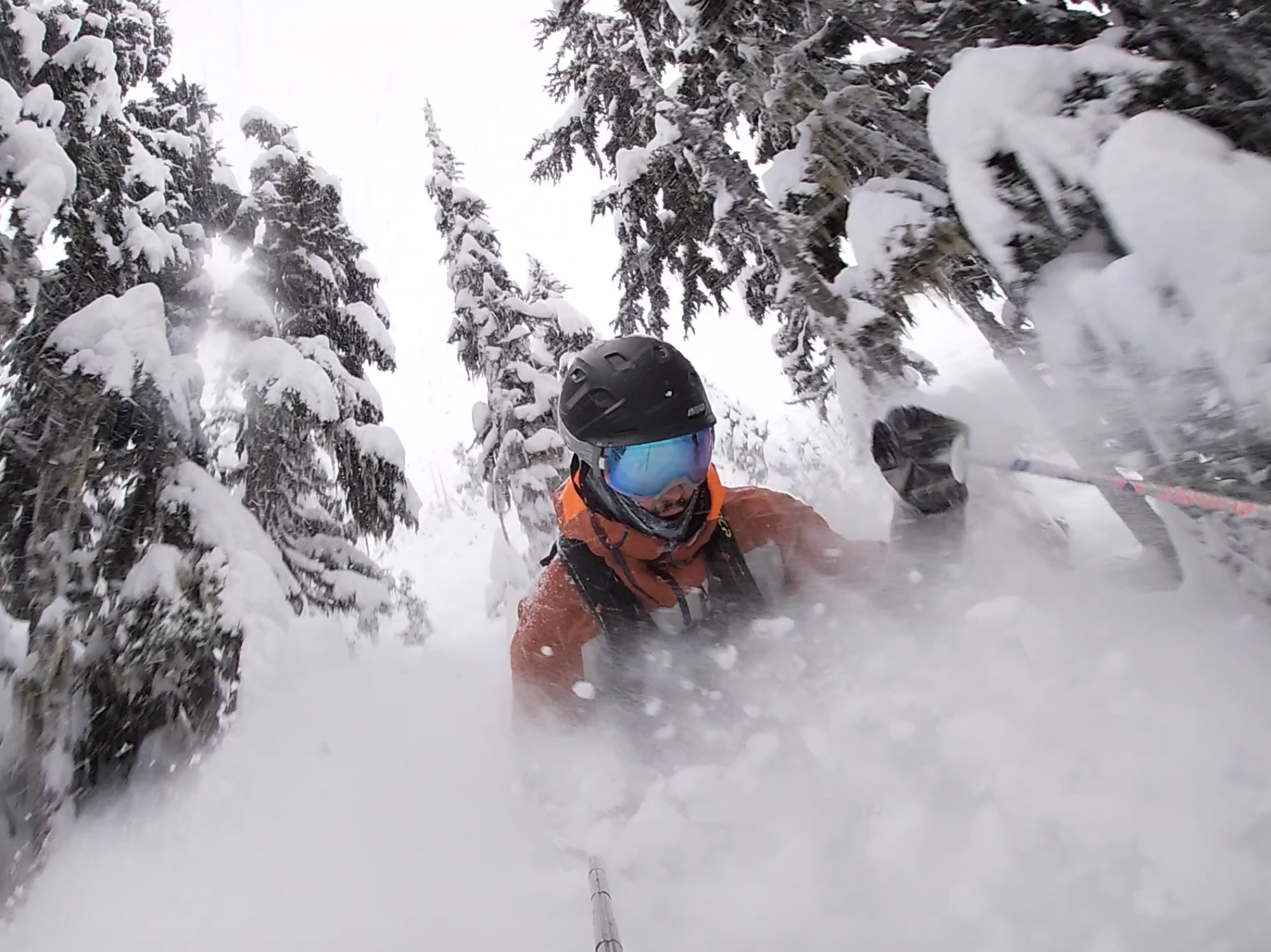 How to ski in trees, tree skiing in Whistler 