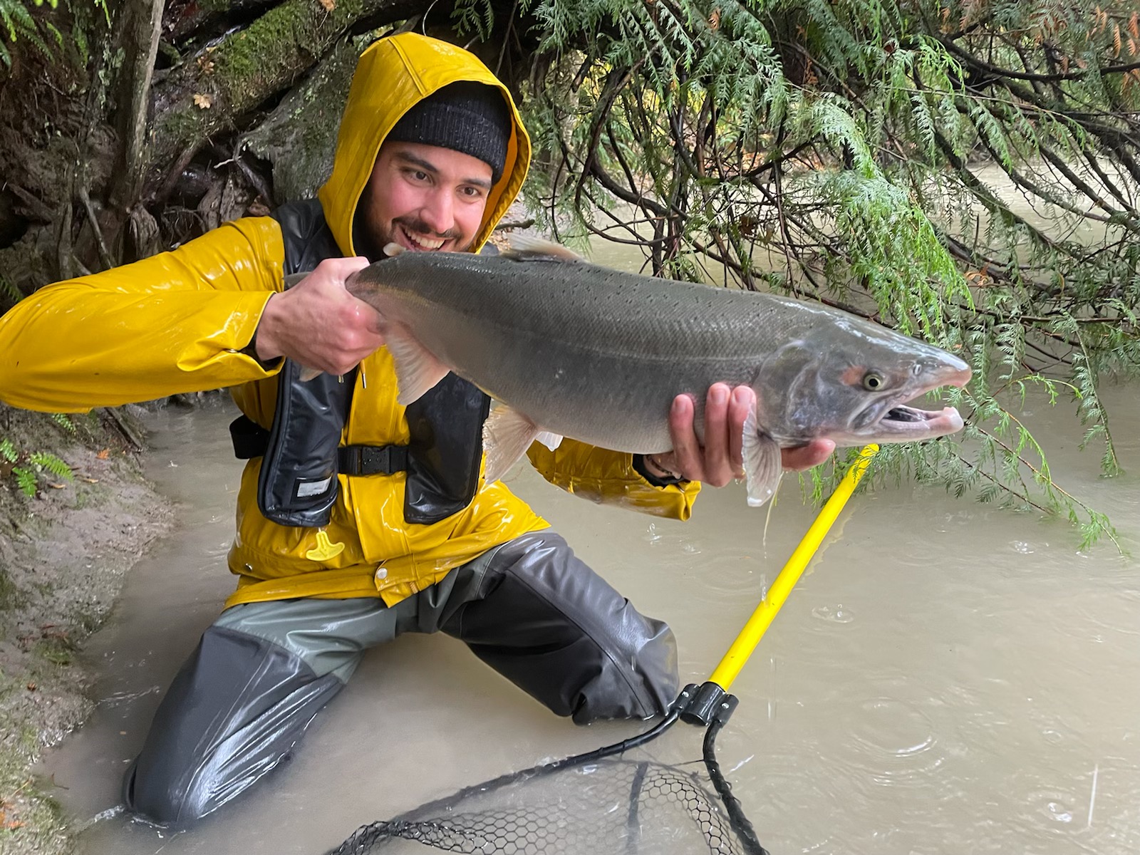 vedder river salmon fishing for chinook salmon, coho salmon, spring salmon, chum salmon 