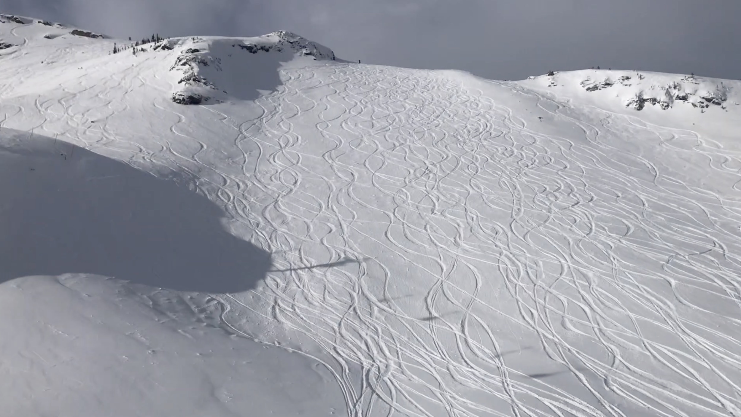 Whistler Mountain Powder 