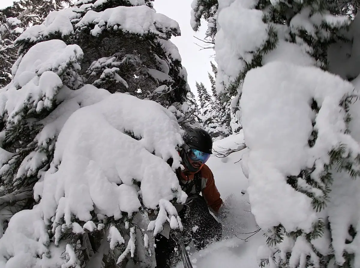 How to ski in trees, tree skiing in Whistler 