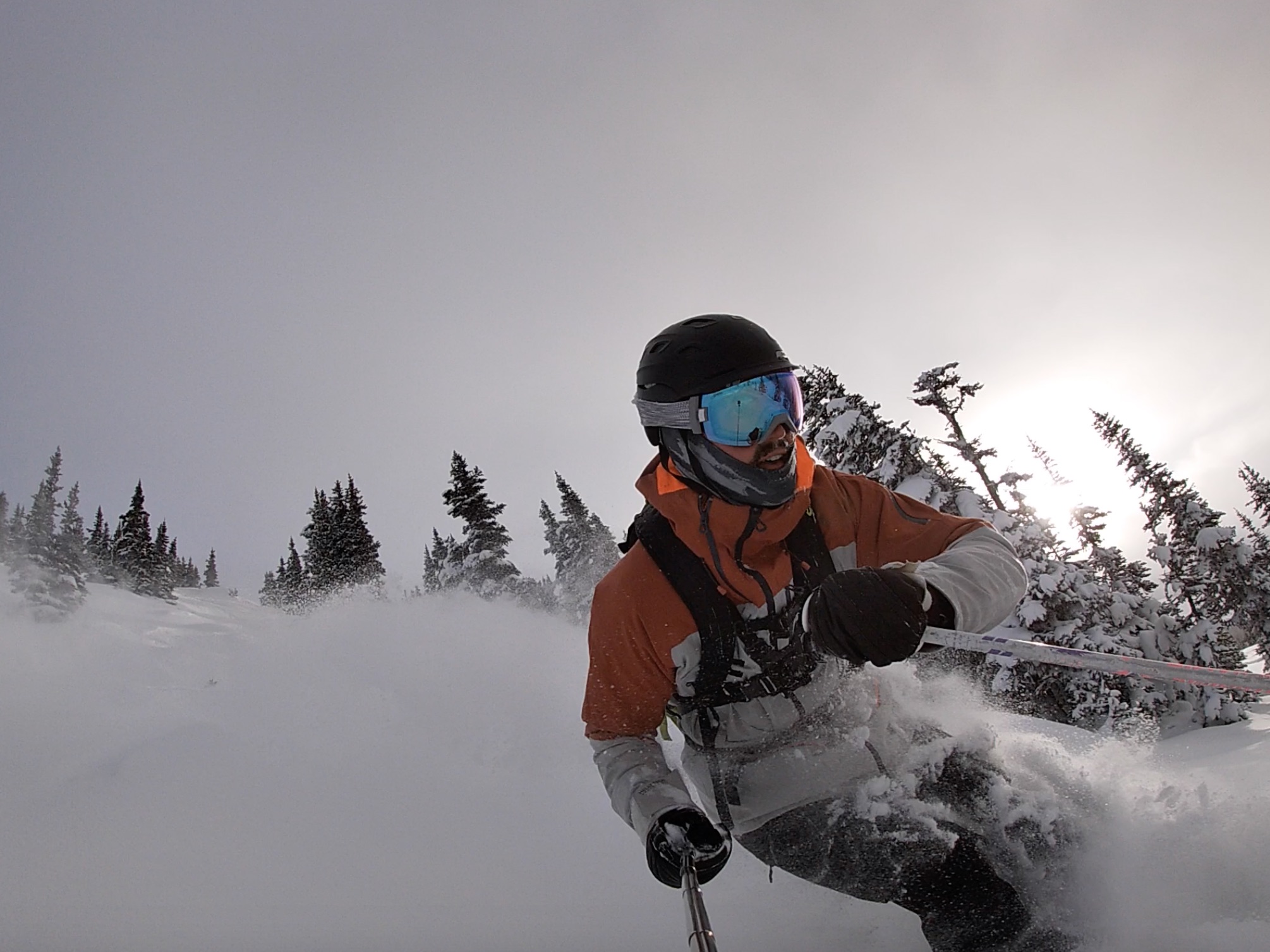 How to ski in trees, tree skiing in Whistler 