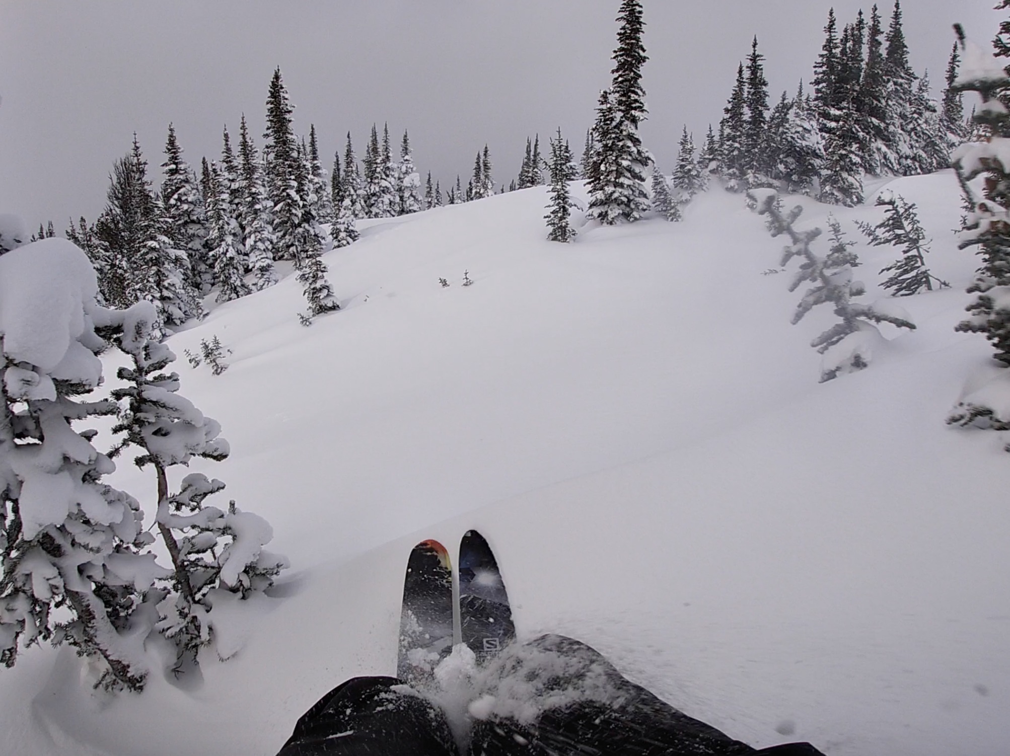 How to ski in trees, tree skiing in Whistler 