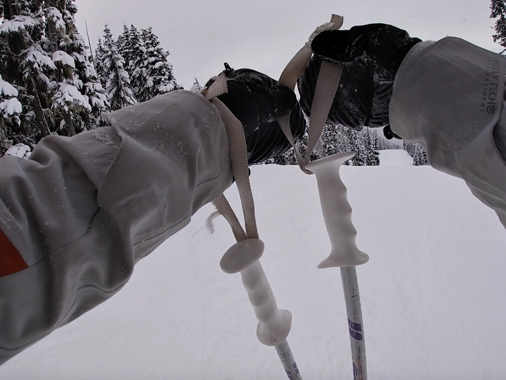 How to ski in trees, tree skiing in Whistler 