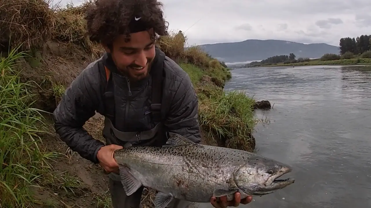 vedder river salmon fishing for chinook salmon, coho salmon, spring salmon, chum salmon 