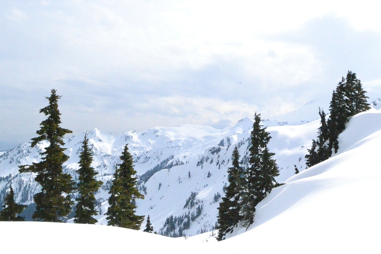 How to ski in trees, tree skiing in Whistler 