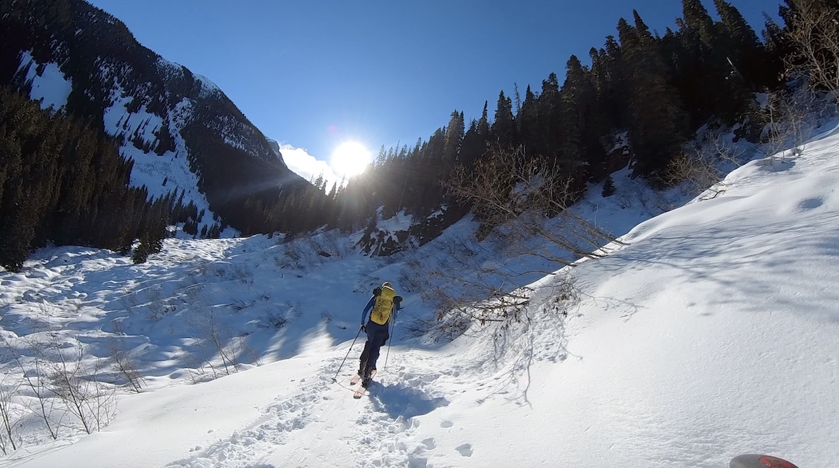 Climbing the summer trail in Joffre Lake Provincial Park in winter on skis and skins 