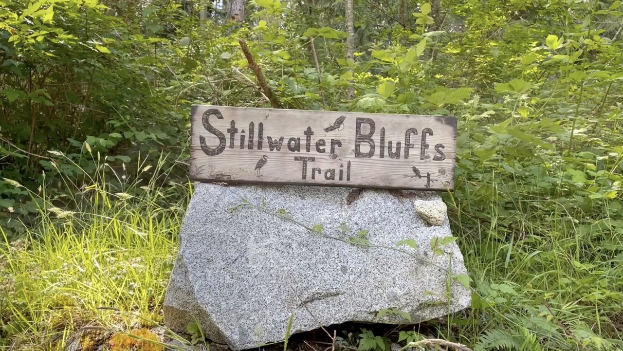 Stillwater Buffs Trail, Hiking in Powell River