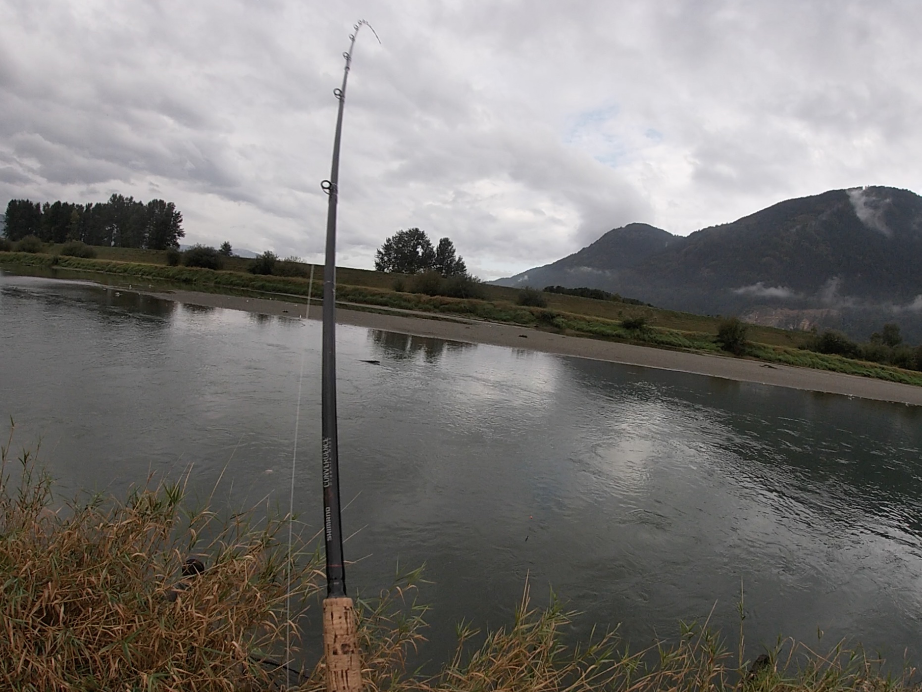 Vedder River Chinook Salmon Fishing 