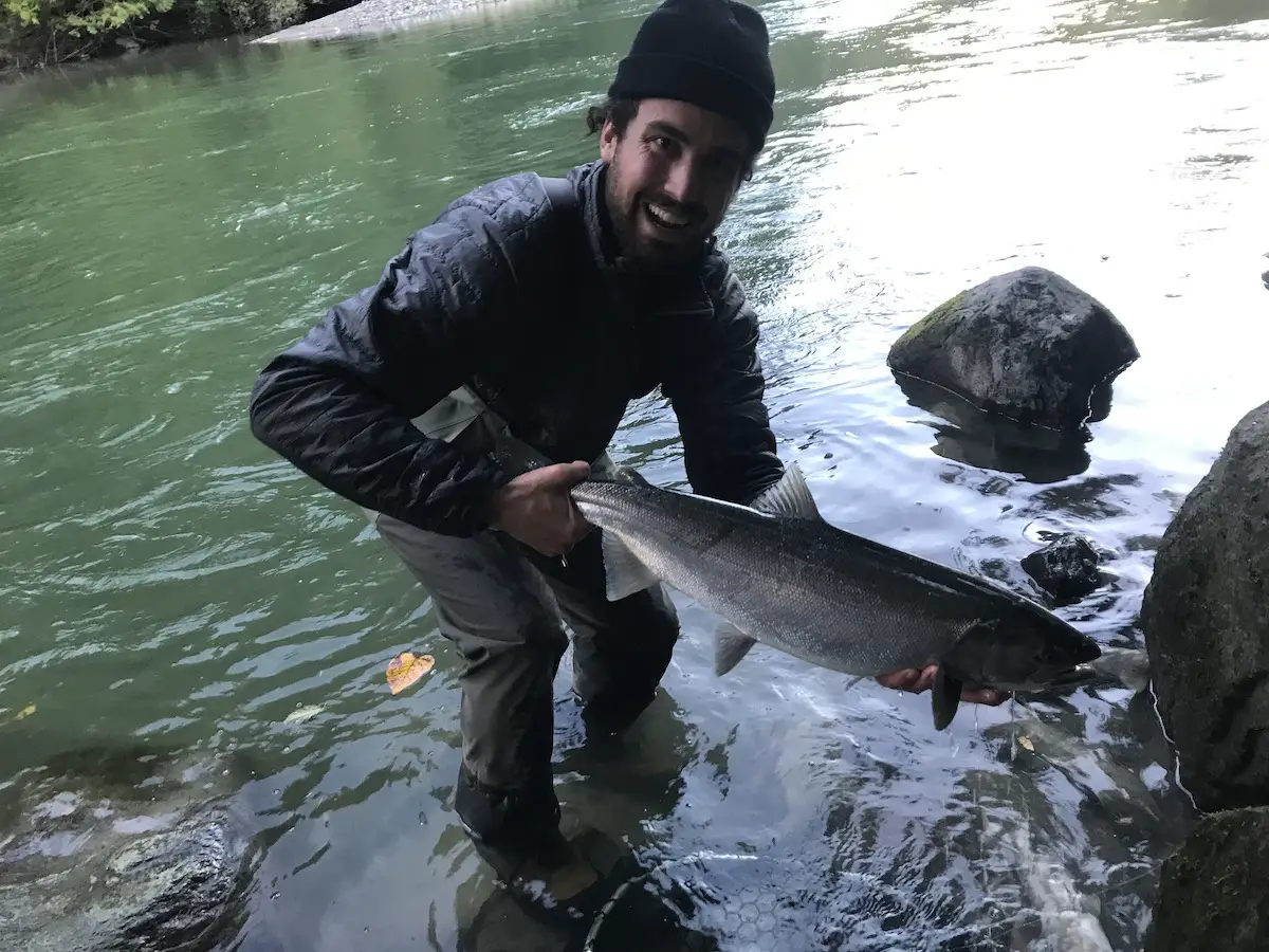 Coho salmon fishing in the Vedder River, British Columbia 