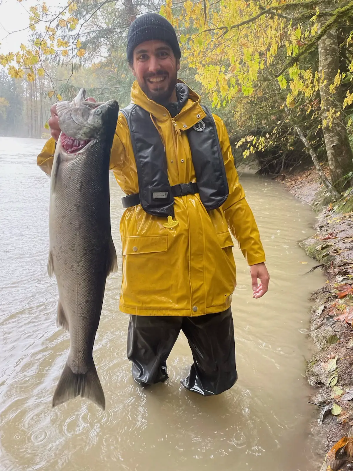 Coho salmon fishing in the Vedder River, British Columbia 