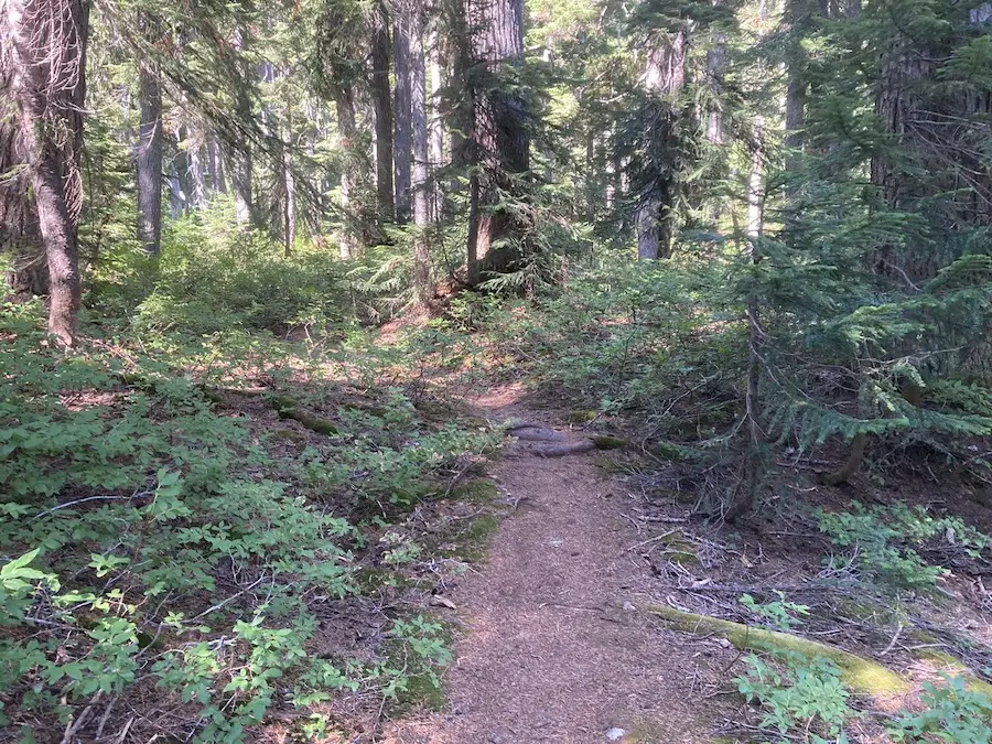 Cirque Lake Trail, Whistler BC, Hiking Whistler 