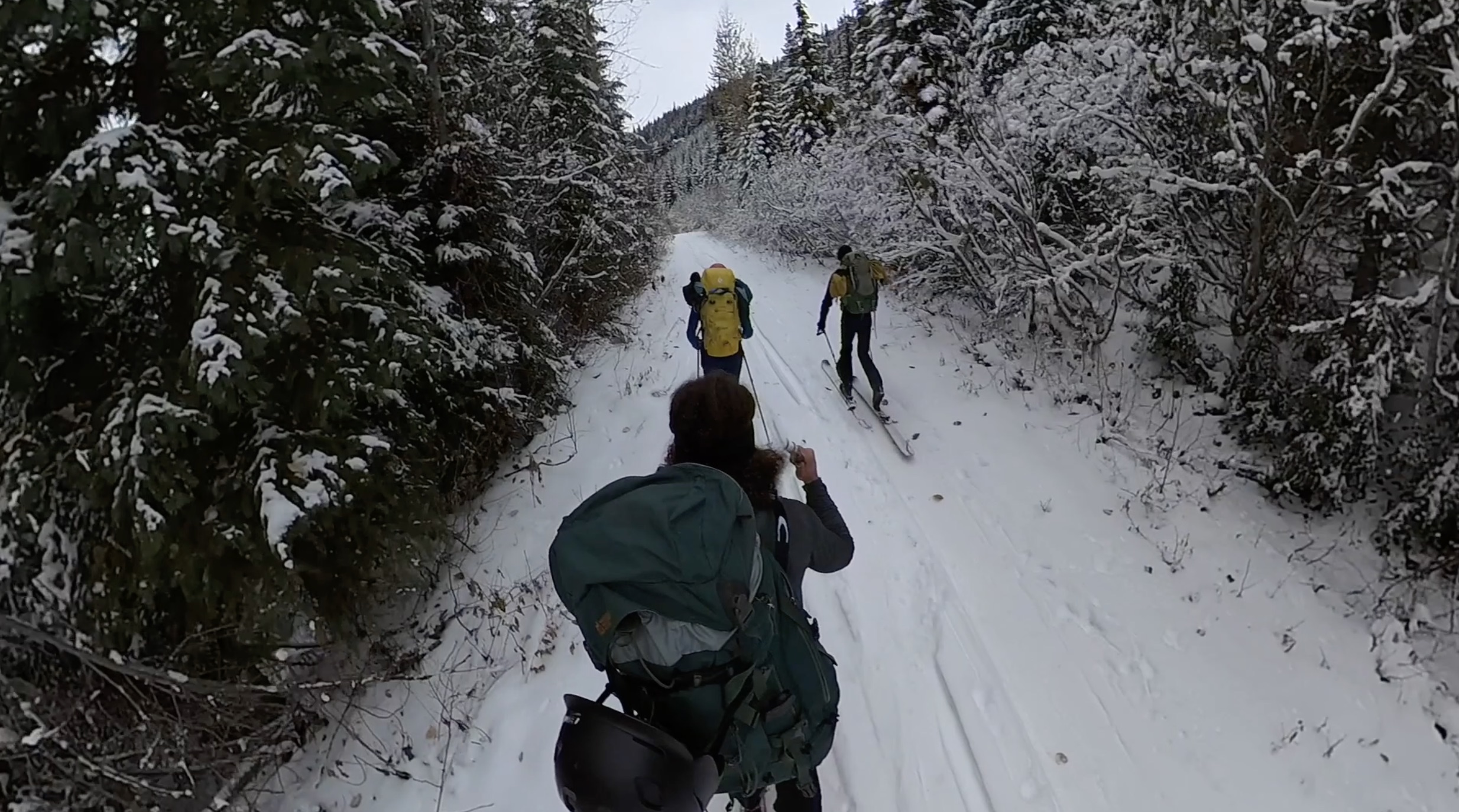 The Wendy Thompson Hut Ski Touring Winter, Pemberton BC