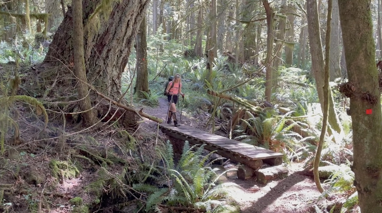Hiking through the old growth forests on the Sunshine Coast Trail