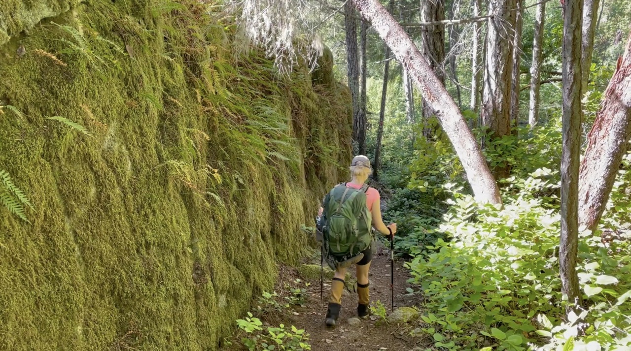 Hiking beside a moss covered rock on the way to the Shinglemill pub in powell river