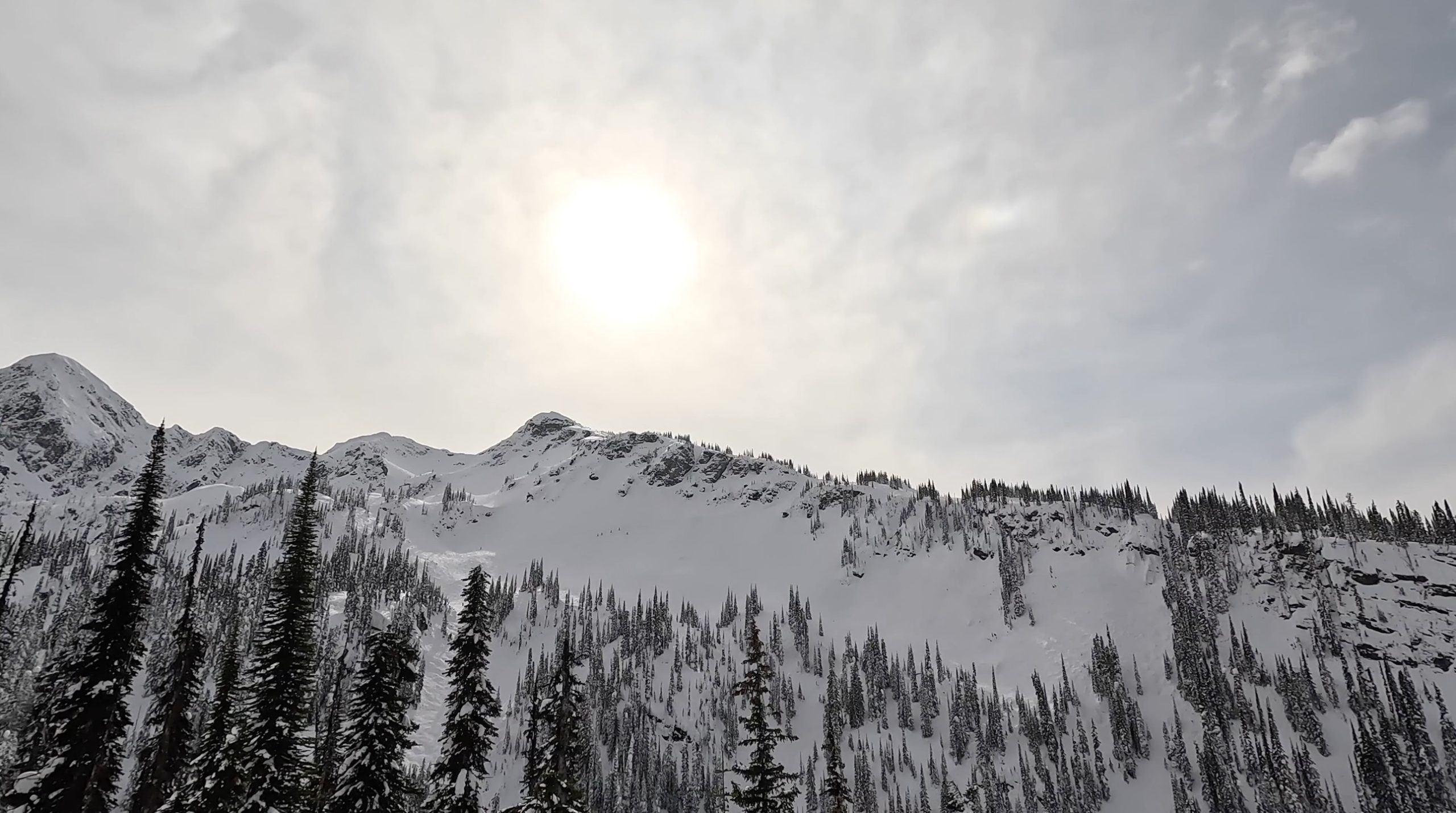 Looking up at Vertigo Ridge and the Hotdog hallways at Revelstoke Mountain Resort 