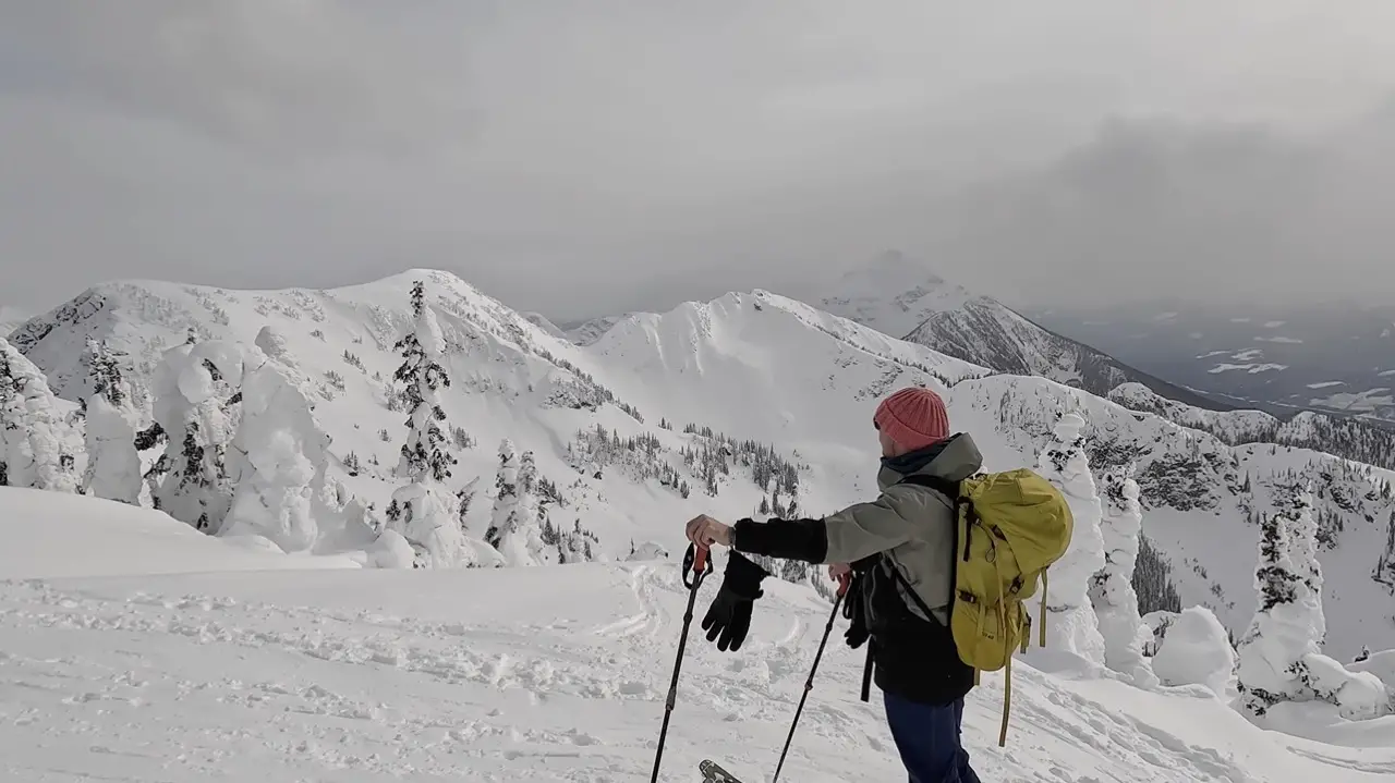 The South & Montana Bowl at Revelstoke Mountain Resort 