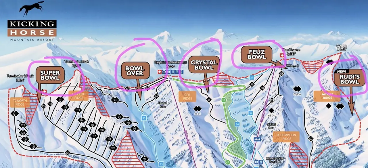 The bowls at Kicking horse Mountain resort