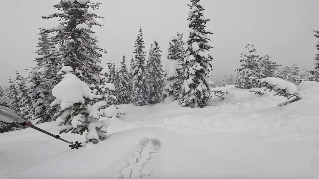 Perfect tree skiing through powder at Red Mountain Ski Resort in Rossland, British Columbia